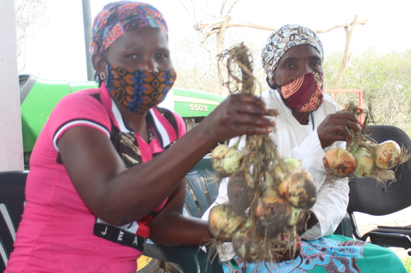 CESAL acerca a los pequeos agricultores del distrito de Matutuine a los mercados de la capital, Maputo